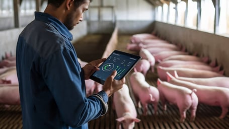 Como a engenharia aplicada impulsiona o agronegócio